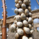 Šnečku,šnečku...