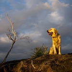 Ve světle zapadajícího slunce