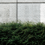 zátiší pro Jirku B.