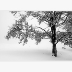 Podzimní střípky... I.