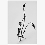 Podzimní střípky... III.