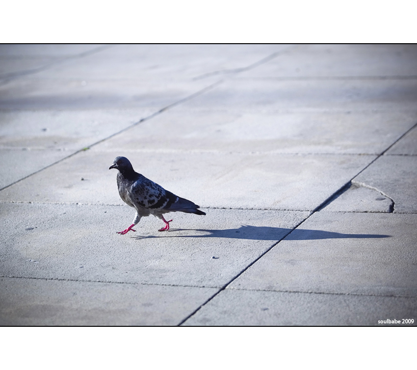 utíkám od vlastního stínu.