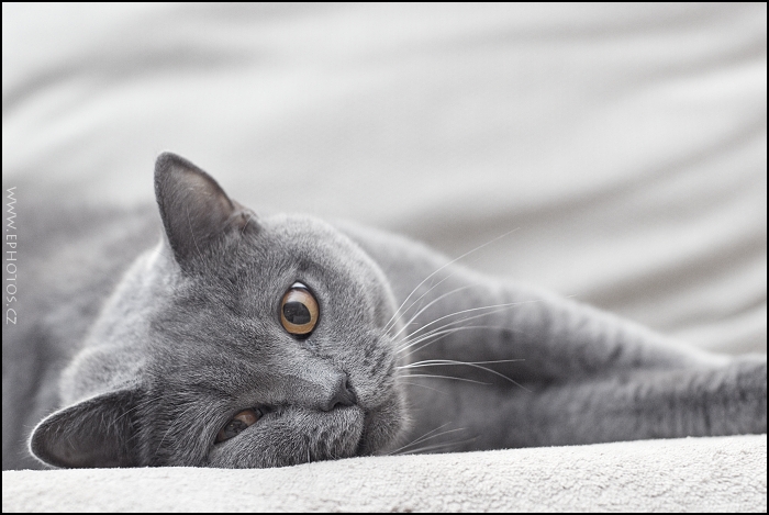 na šikmé hraně.....