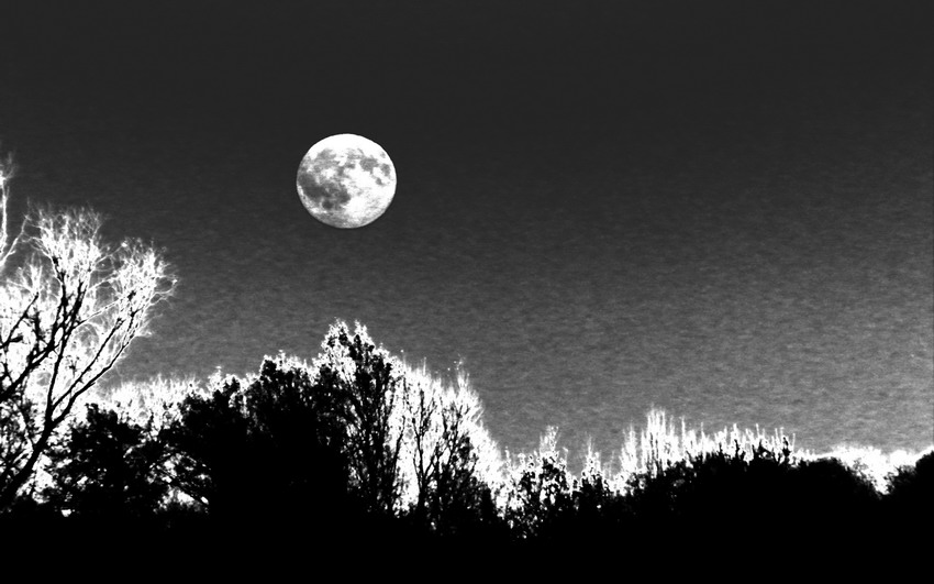 Freezing Moon