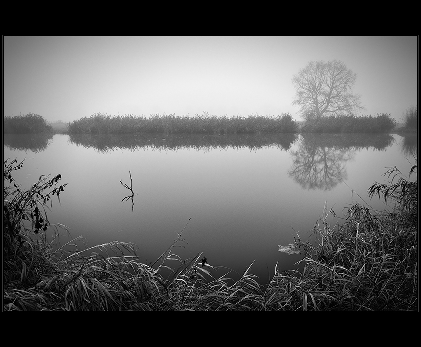 Všední krajinky (Polabská mlha)