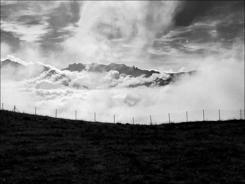 Před plotem, za plotem