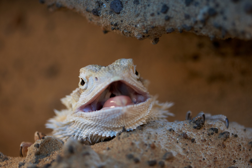 Ááá, kam jsem to vlez??!!!