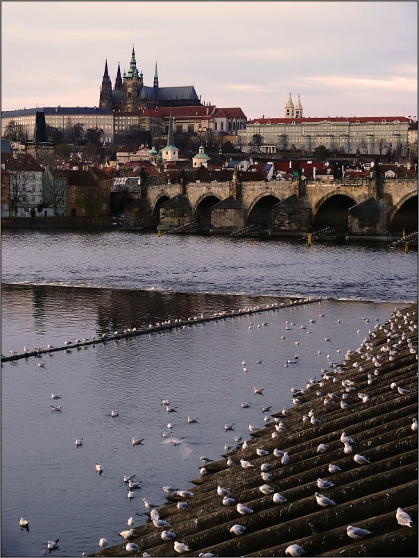 Hrad