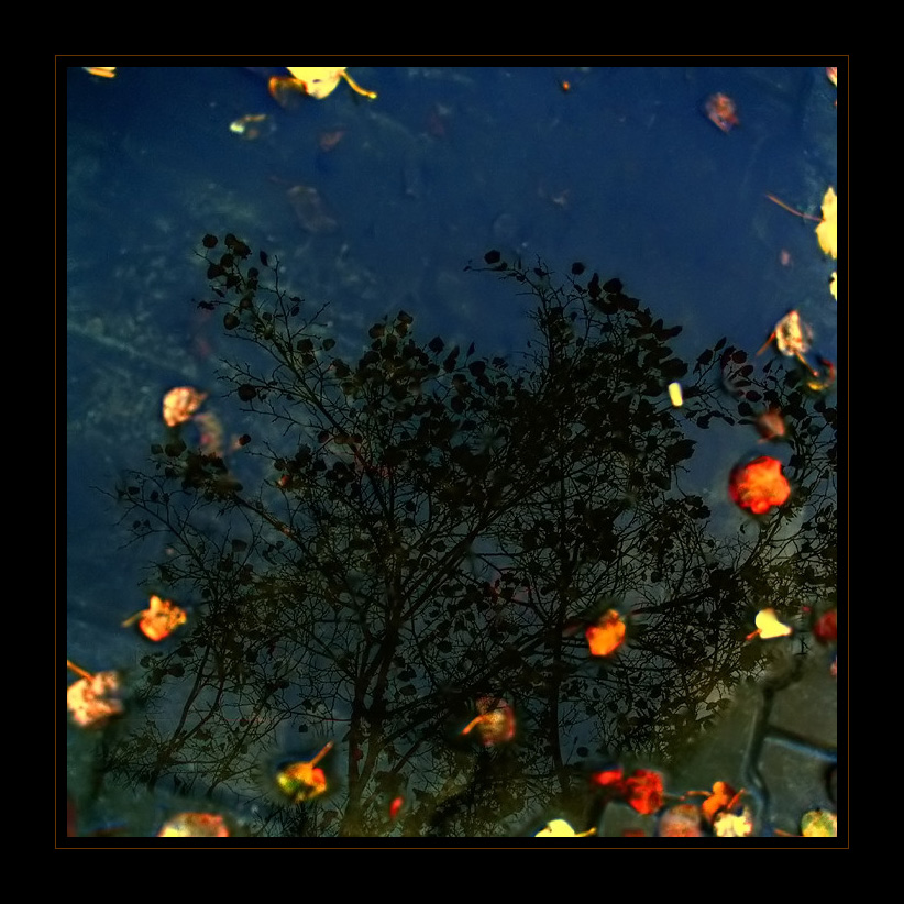 ***POHLED DO ZRCADLA***