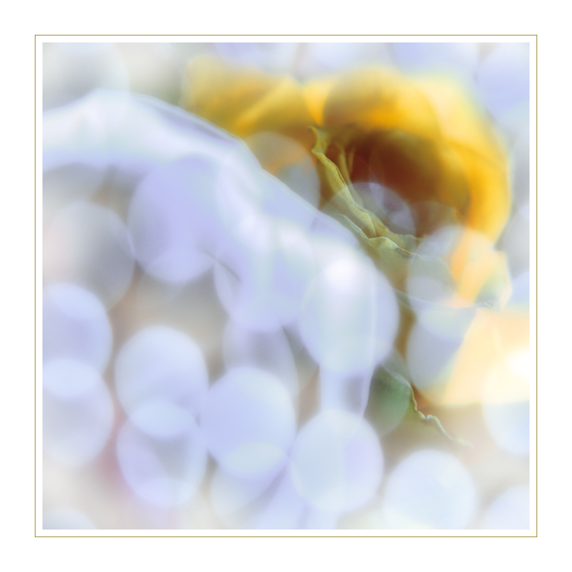 ***OPAK K ŽÁROVIČKÁM***