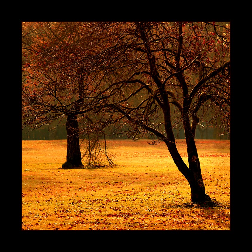 ***VEČERNÍ DOTEKY***