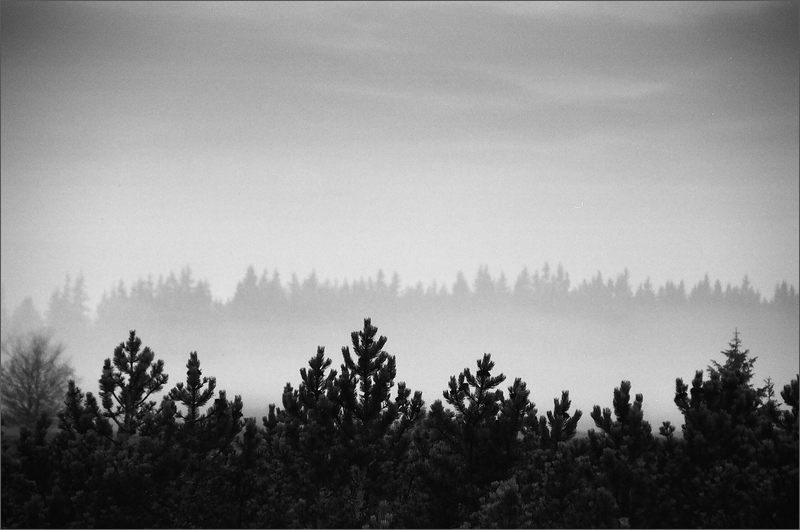 Šumavské střípky