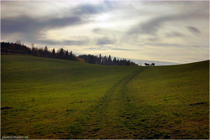 podzimním Žďárskem