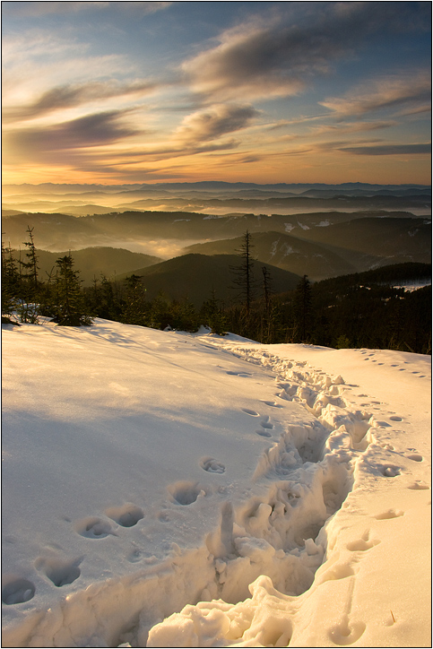 Beskydský Yeti