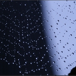 Pavoučí hrátky v deštivém dni II.