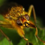  zombie přicházejí ze tmy