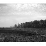 stadion po sezoně....