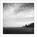 pohled na branku domácích...