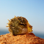 Myšlenky se honí hlavou