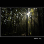 Hrátky se světlem_1