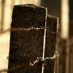 chladné odpoledne !