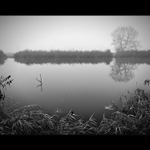 Všední krajinky (Polabská mlha)