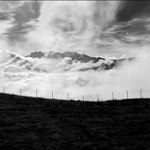 Před plotem, za plotem