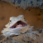 Ááá, kam jsem to vlez??!!!