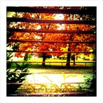 autumn_leaves