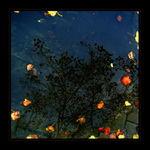 ***POHLED DO ZRCADLA***