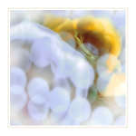 ***OPAK K ŽÁROVIČKÁM***