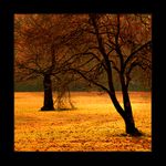 ***VEČERNÍ DOTEKY***