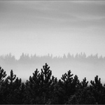 Šumavské střípky