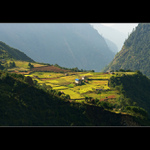 Nepálská políčka