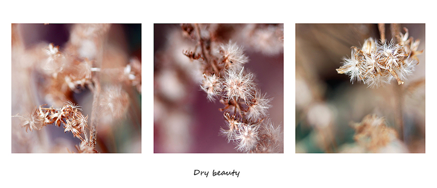 Dry beauty