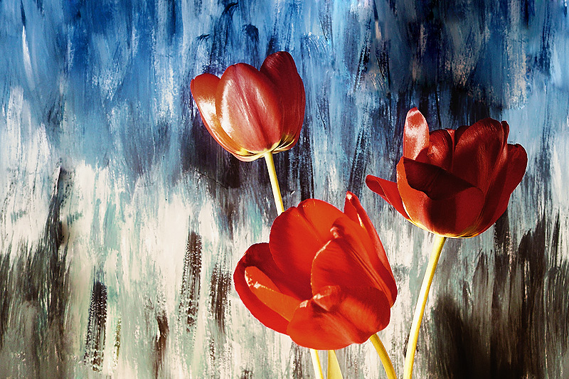 "Tulipánopád"