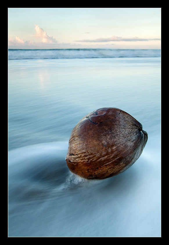 Coconut story