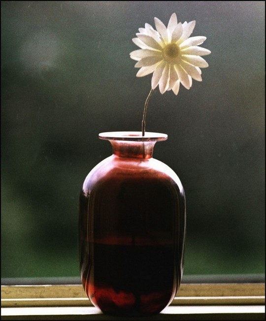 Zátiší v ateliéru..