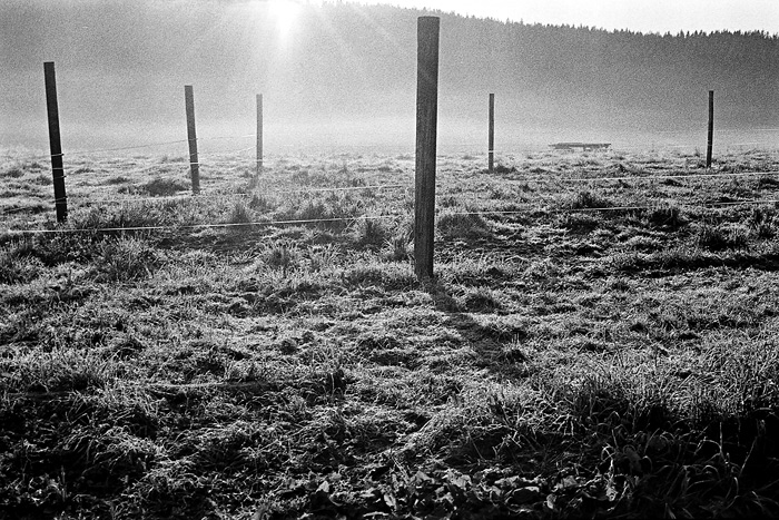 Šumava