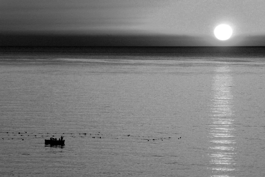 Čekání na úlovek