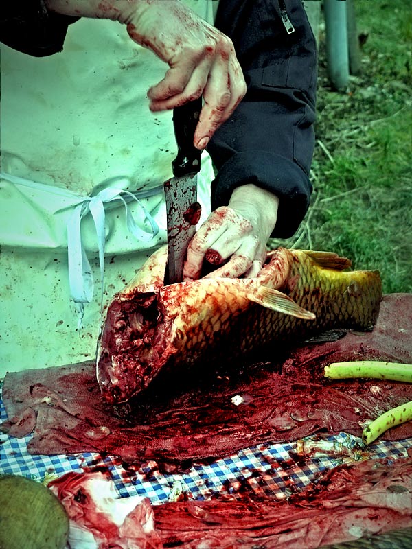 Šťastné a veselé?