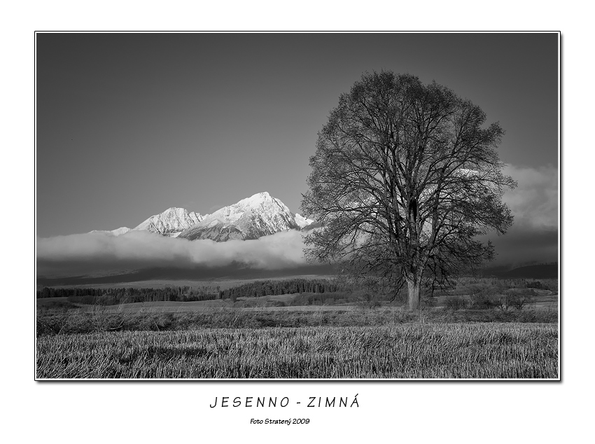 Jesenno-zimná