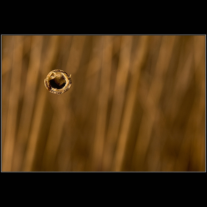 ///O/////////////////