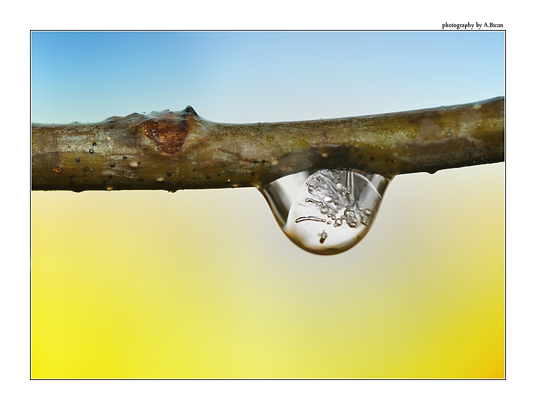 ... Kapka s příchutí ledu ...