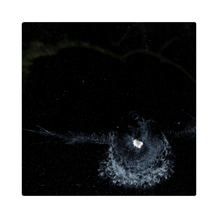 Noční let