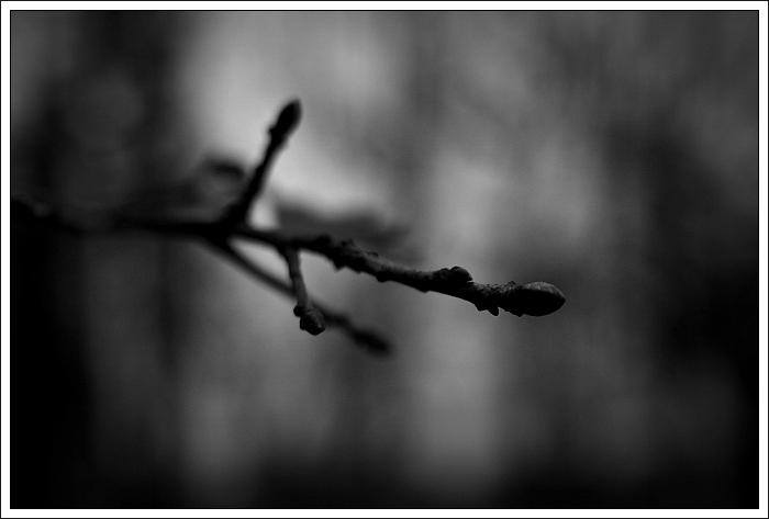 ...v lese...