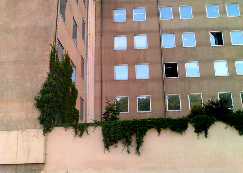 windowsy