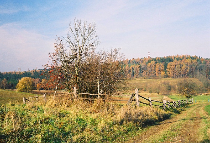 U Dřízny