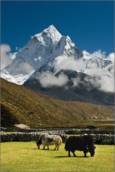 Ama Dablam...