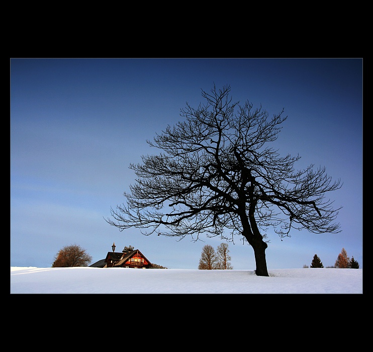 Drsná planina